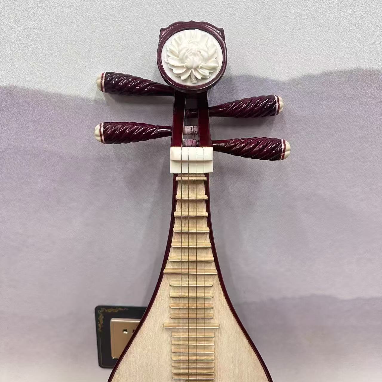 AUCN Liuqin -  Entry-Level Liuqin