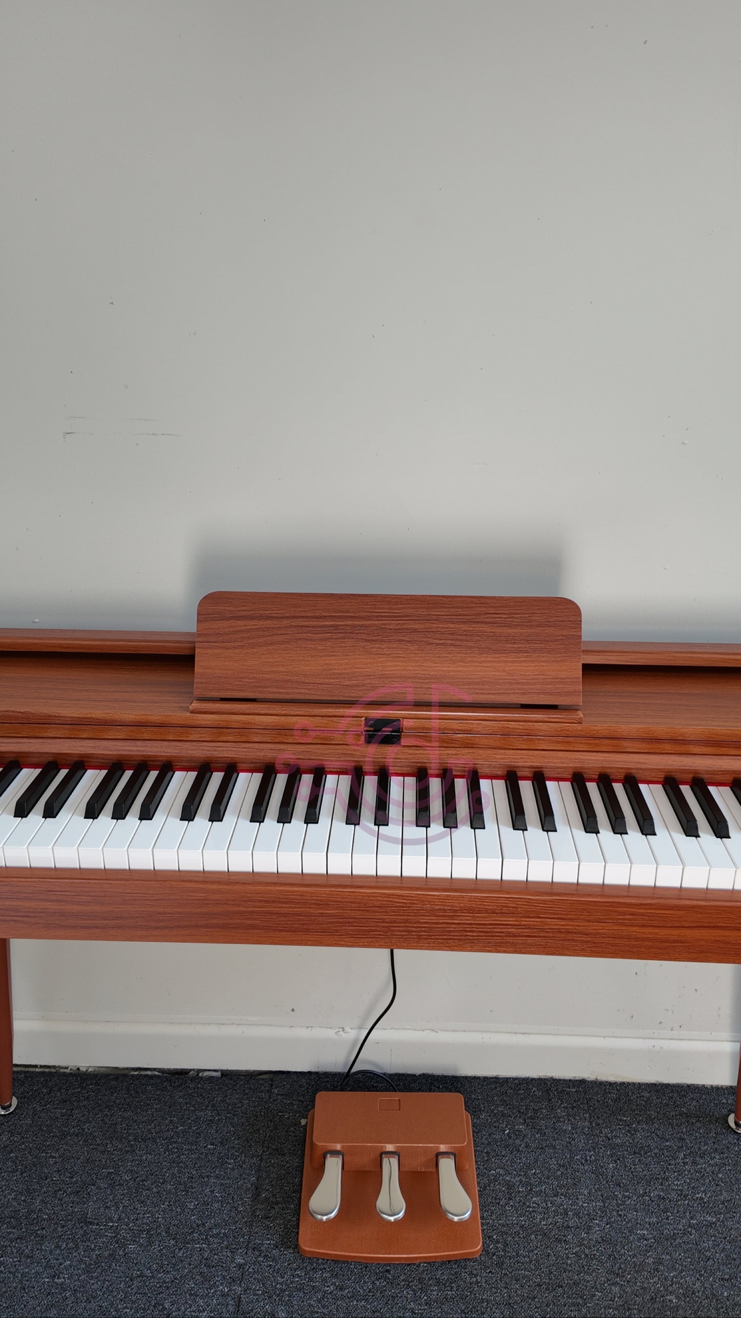 AUCN Piano - 815 Fully Weighted Hammer Action Keys