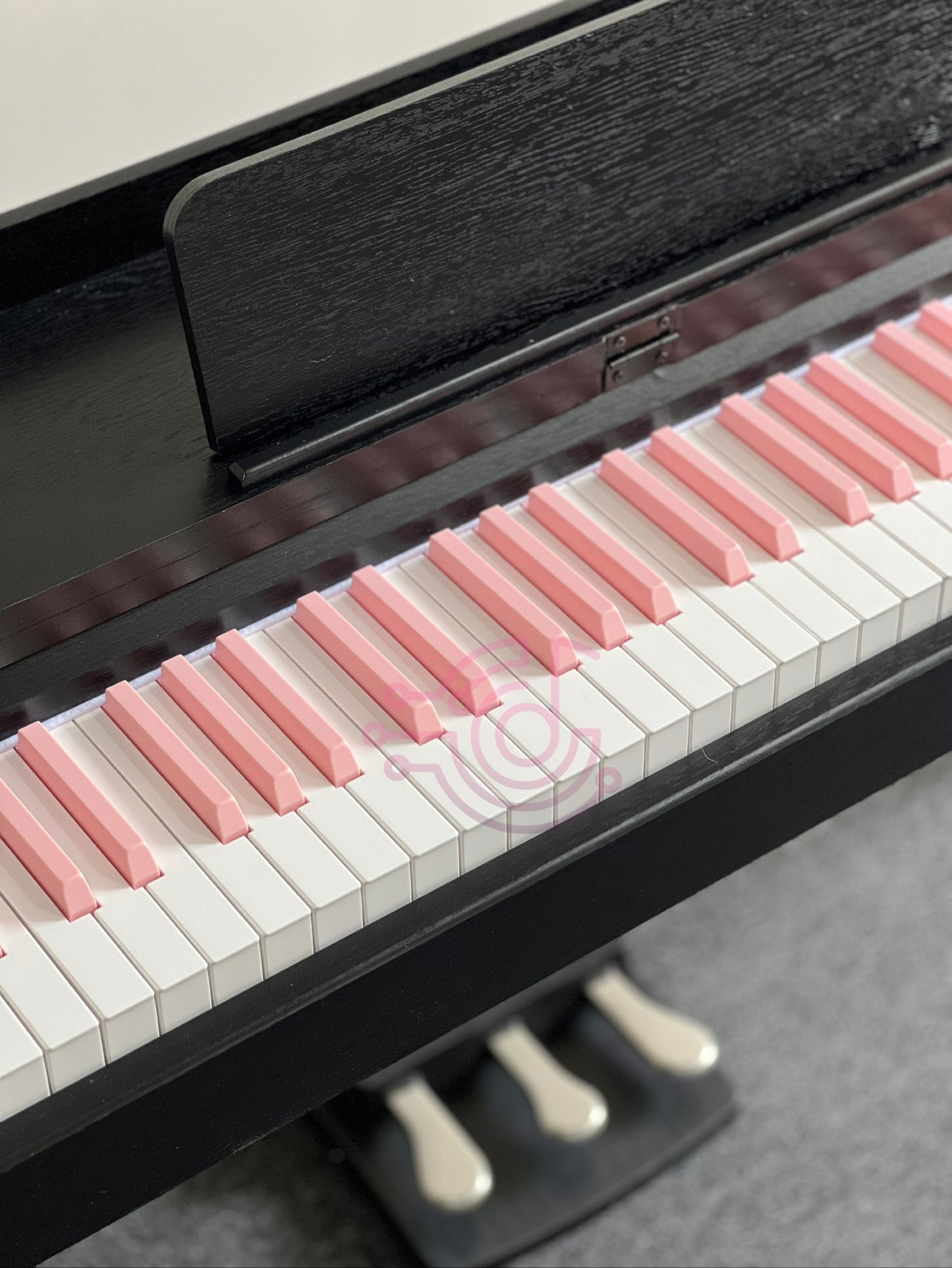 AUCN Piano - 815 Fully Weighted Hammer Action Keys