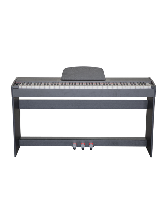 SHUSHIMAN Piano - S31  Fully Weighted Hammer Action Keys