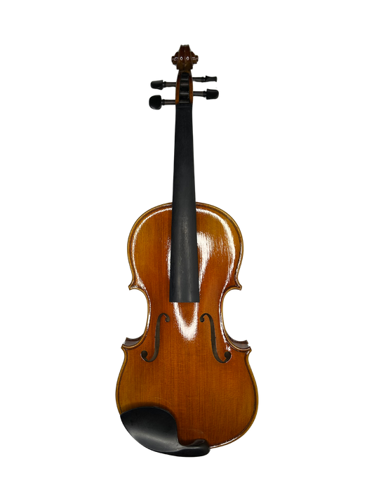Violin - VLN5000