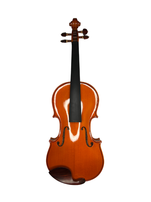 Violin- VLN7002
